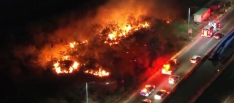 Un incendio ha devastado 500 metros del río Santa Catarina, con un rápido control por Protección Civil Nuevo León.