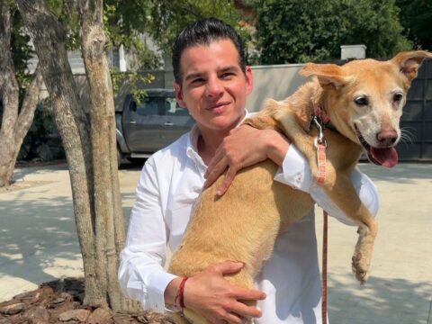 Las nuevas acciones de Miguel Flores reflejan su dedicación al rescate animal y la construcción de un mejor estado.