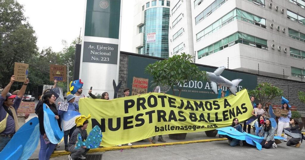 Diputados presentan preocupaciones sobre riesgos ambientales en proyectos de gasoductos en el Golfo de California.